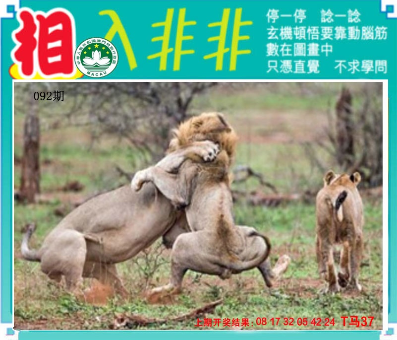 092期相入非非[图]